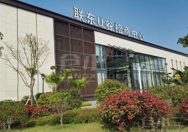 其它0