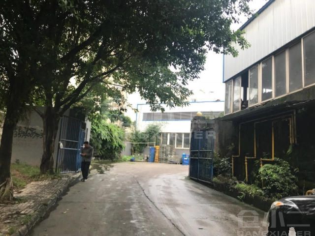 其它1