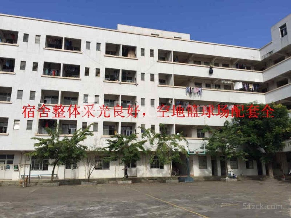 其它1