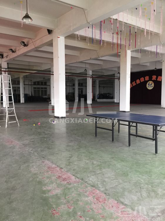 周转场地