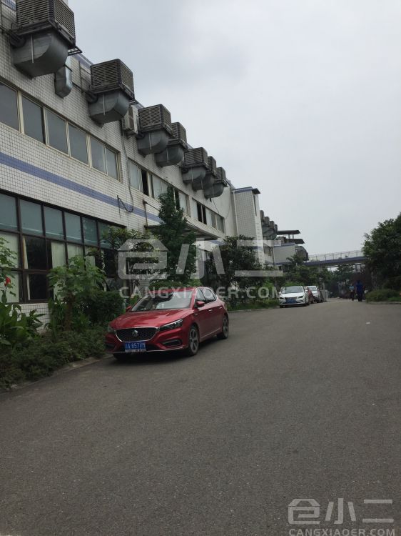 其它3