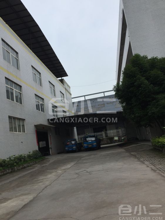 外景图