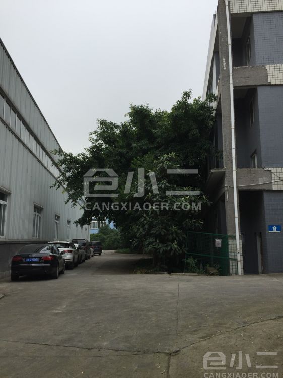 周转场地