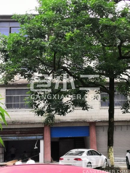 外景图