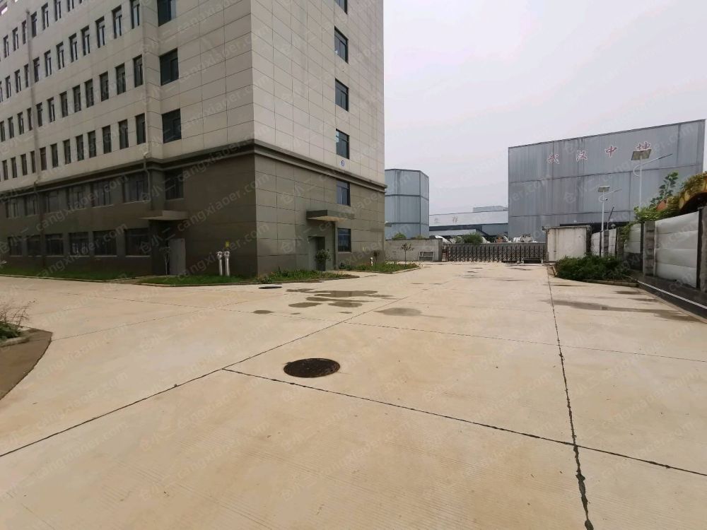 其它7